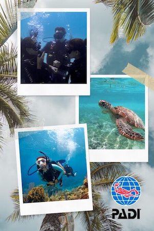 Photo d'un cours PADI open water de plongée à Siquijor.