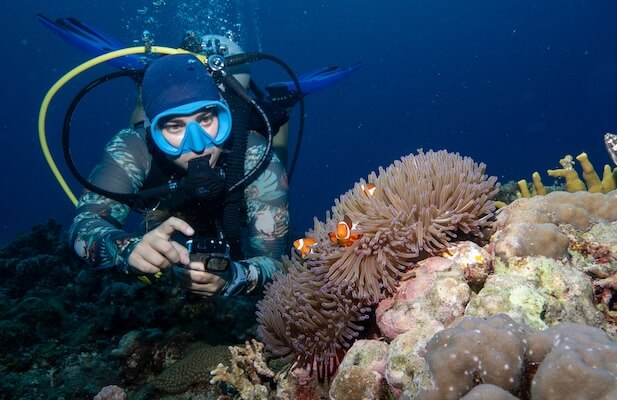 Plongeur qui observe un poisson-clown aux Philippines.