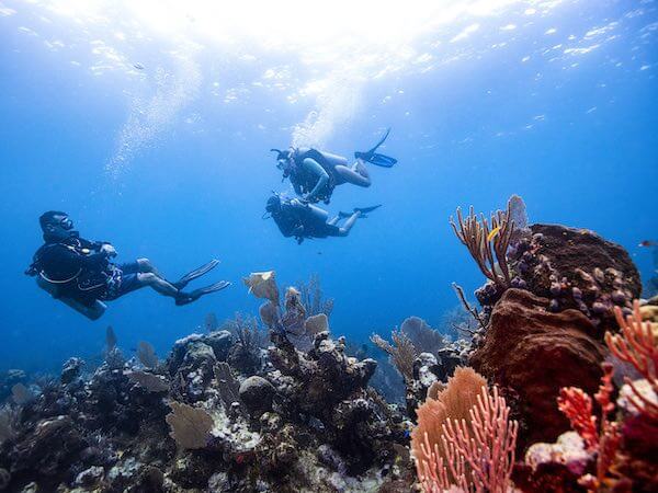 Guia a otros hacia el sueño como un divemaster PADI