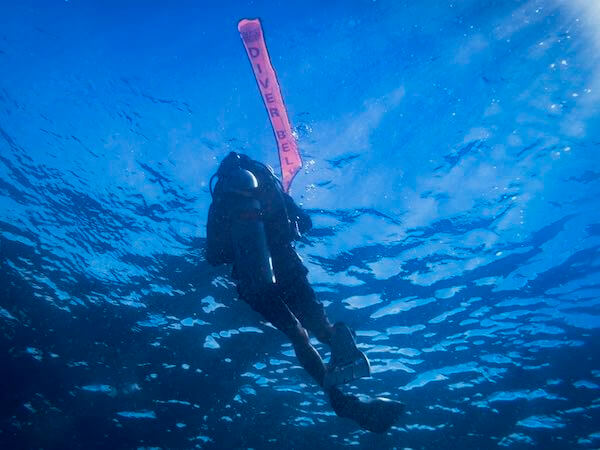 Divemaster at the surface with deployed DSMB.