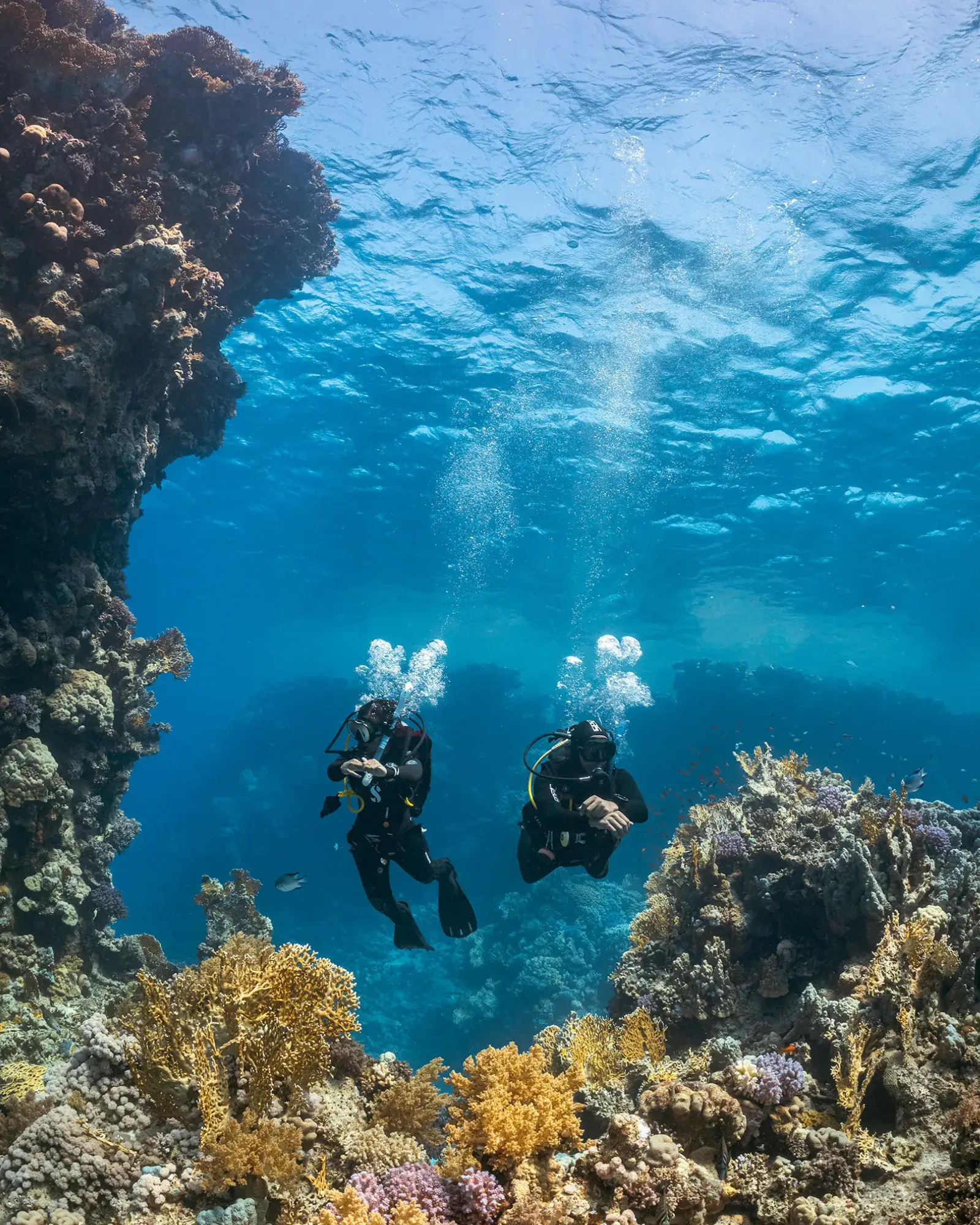 Two certified divers swimming on a reef in Siquijor, Philippines.