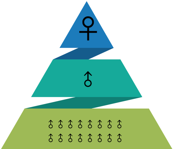 Pyramide montrant la hiérarchie qui règne au sein des poissons-clowns.