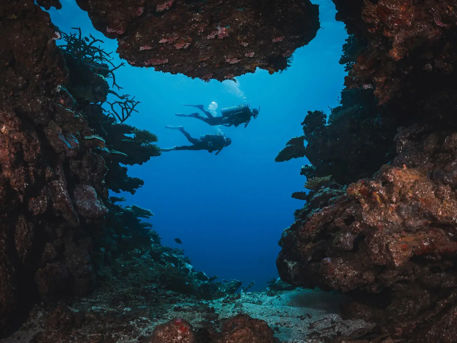 Divers exploring deeper reef terrain during PADI Deep Diver training in Siquijor