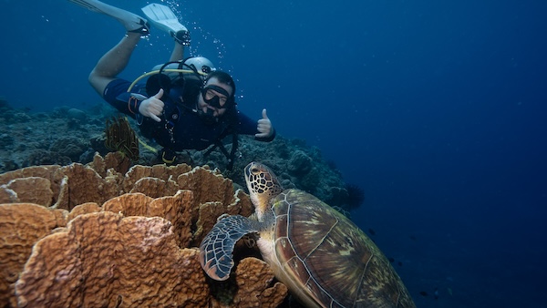 plongeur-tortue-siquijor Plongée avec tortue à Siquijor aux Philippines