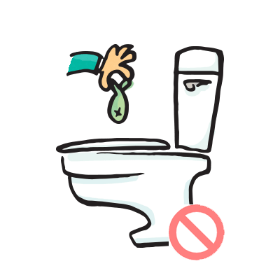 Poisson jeté dans les toilettes.