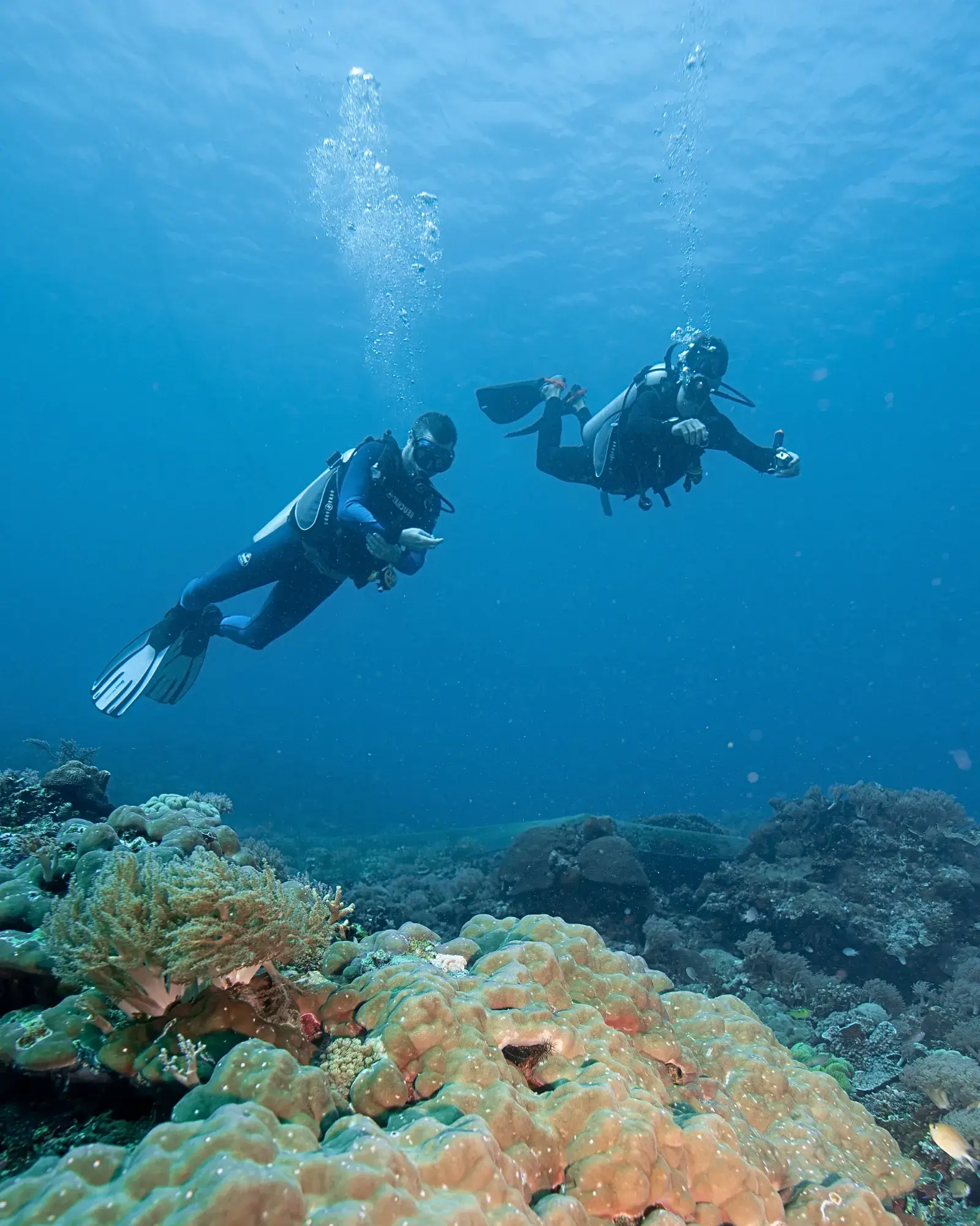 Diver and instructor on a refresh dive in Siquijor.